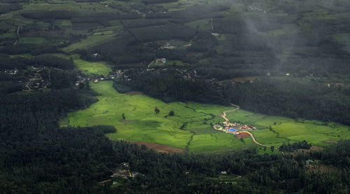 Scenic view of agricultural field