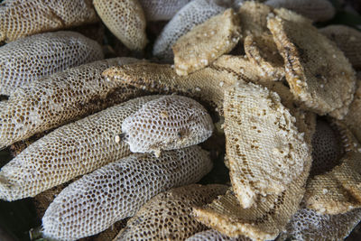 Full frame shot of bread