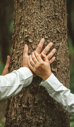Close-up of hand of couple on tree trunk