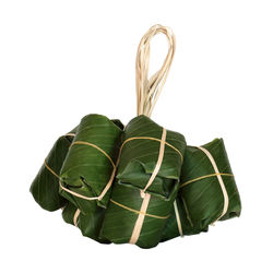 Close-up of leaf against white background