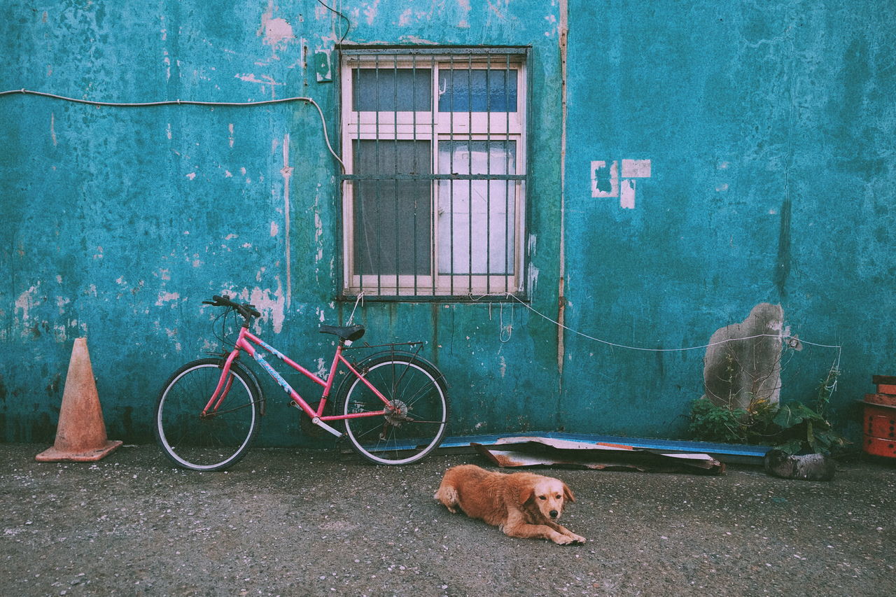 building exterior, transportation, mode of transport, architecture, built structure, bicycle, land vehicle, stationary, parked, blue, parking, street, window, day, wall - building feature, side view, house, sidewalk, outdoors, no people