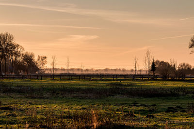 Scenic view of field against sky during sunset