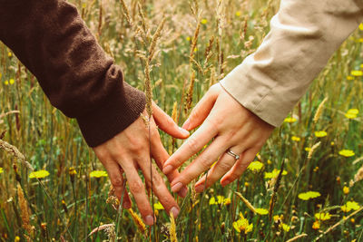 Close-up of people holding hands on grass field