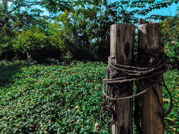 Close-up of rope tied on wooden post