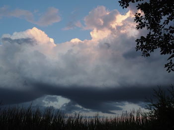 Low angle view of silhouette trees against sky during sunset