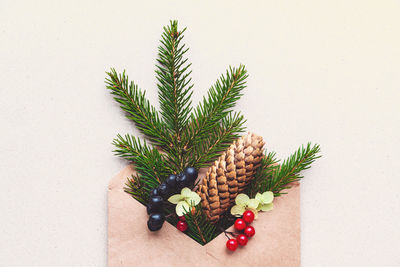 High angle view of pineapple against white wall