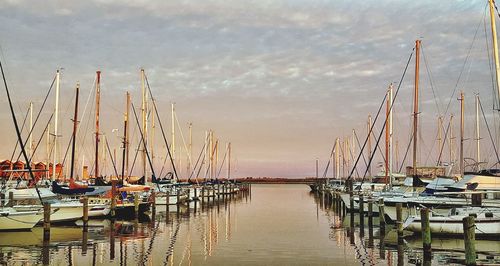 Boats in harbor