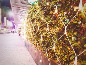 Close-up of illuminated city at night