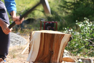 Man chopping wood in forest