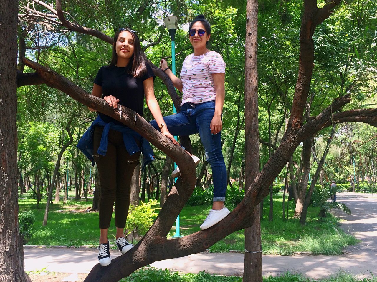 tree, casual clothing, full length, two people, tree trunk, young women, young adult, front view, smiling, togetherness, outdoors, happiness, leisure activity, real people, day, growth, lifestyles, posing, standing, nature, sitting, friendship, people, adult