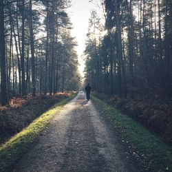 Rear view of man walking on road in forest