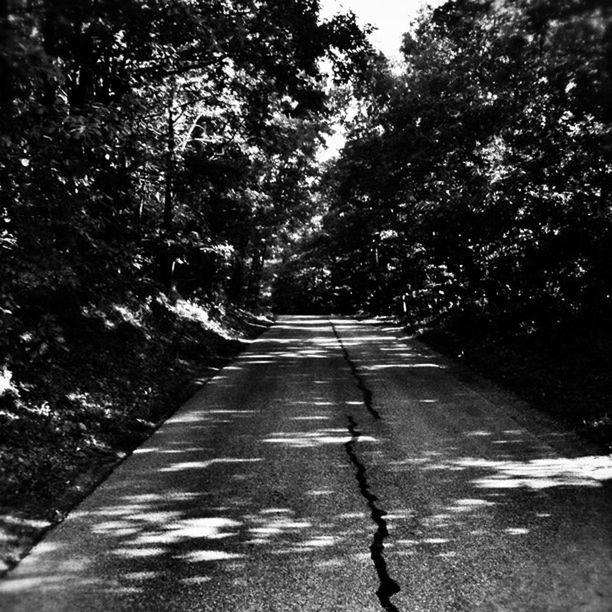 the way forward, tree, diminishing perspective, vanishing point, transportation, tranquility, road, growth, nature, forest, tranquil scene, empty, sunlight, day, road marking, outdoors, long, no people, shadow, empty road