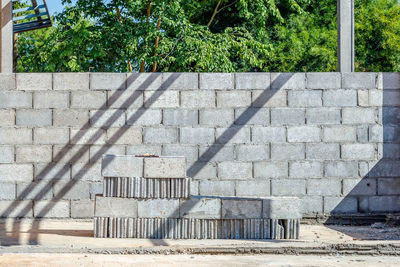 Shadow of tree on wall by building