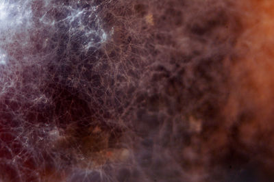 Full frame shot of white background