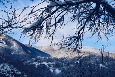 Low angle view of bare tree against sky during winter