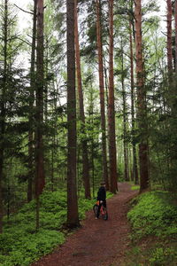 Man riding motorcycle on road amidst trees in forest