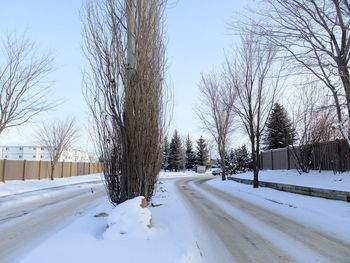 Road passing through snow covered trees