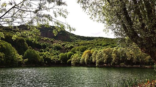 Scenic view of lake in forest against sky