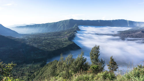 Scenic view of landscape against sky