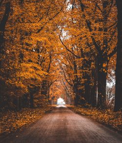 Road amidst trees during autumn