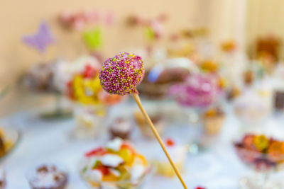Close-up of flowers against blurred background