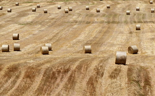 Hay bales on field