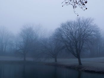 Bare trees on frozen landscape against sky during winter