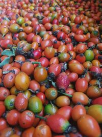 Full frame shot of fruits for sale