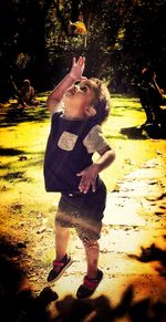 Rear view of girl standing in park