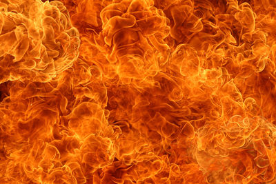 Close-up of orange fire against black background