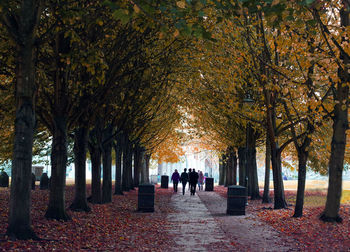 People walking on walkway amidst trees during autumn