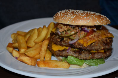 Close-up of burger and french fries in plate