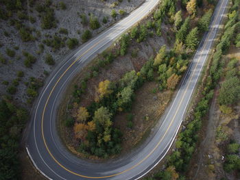 High angle view of street amidst trees in countryside