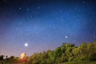 Trees against star field at night