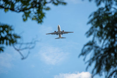 Low angle view of airplane flying against sky