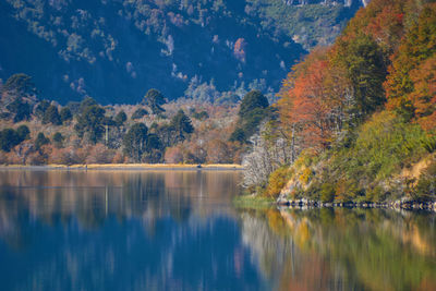 Scenic view of lake by trees during autumn