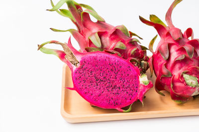 Close-up of pink flowers against white background