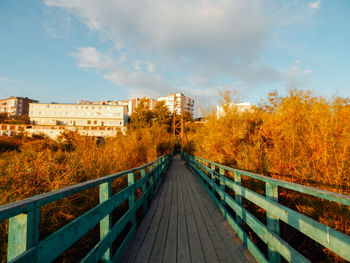 Footbridge over footpath amidst autumn trees against sky