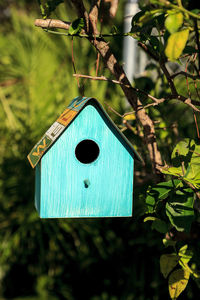 Aqua blue metal birdhouse hangs from a lemon tree in naples, florida.