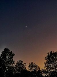 Low angle view of silhouette trees against sky at night