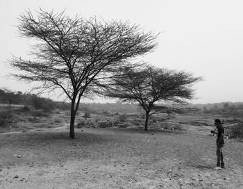 Bare trees on field