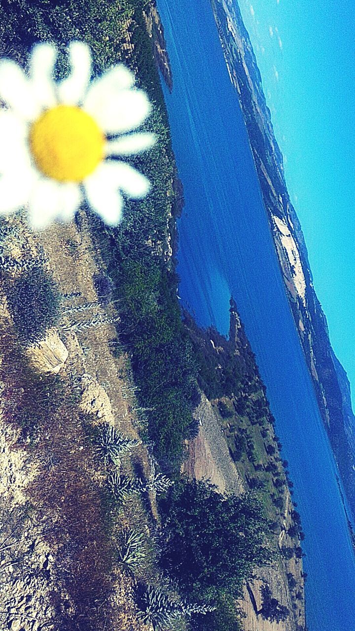 sea, water, blue, high angle view, beach, nature, beauty in nature, sunlight, shore, tranquility, day, sand, outdoors, no people, scenics, sky, shadow, tranquil scene, coastline, close-up