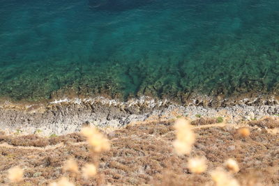 High angle view of sea shore