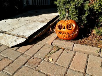 View of pumpkin on stone wall during halloween