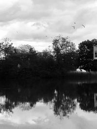 Birds flying over lake against sky