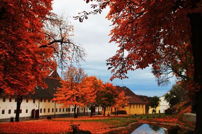 Buildings at park during autumn