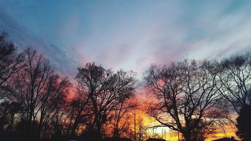 Low angle view of silhouette trees against sky at sunset