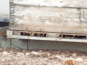 Close-up of railroad track