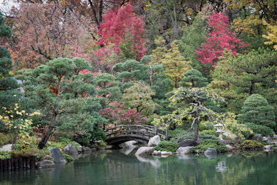 Scenic view of river by trees