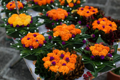 Close-up of flowers on plant